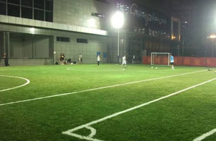 草皮纏結(jié)和生苔